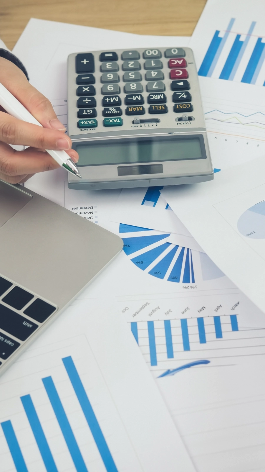 Servicio de Reporting